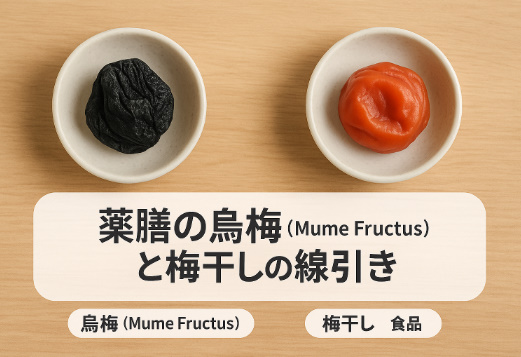 薬膳の烏梅（Mume Fructus）と梅干し
